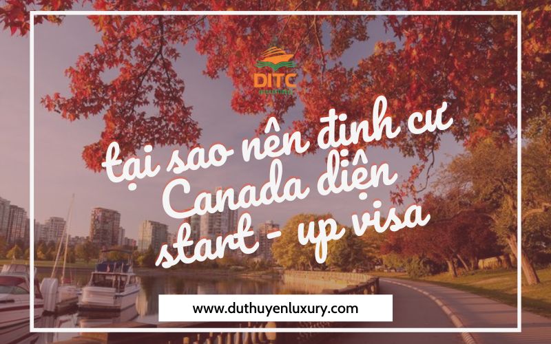 tại sao nên định cư Canada diện start - up visa