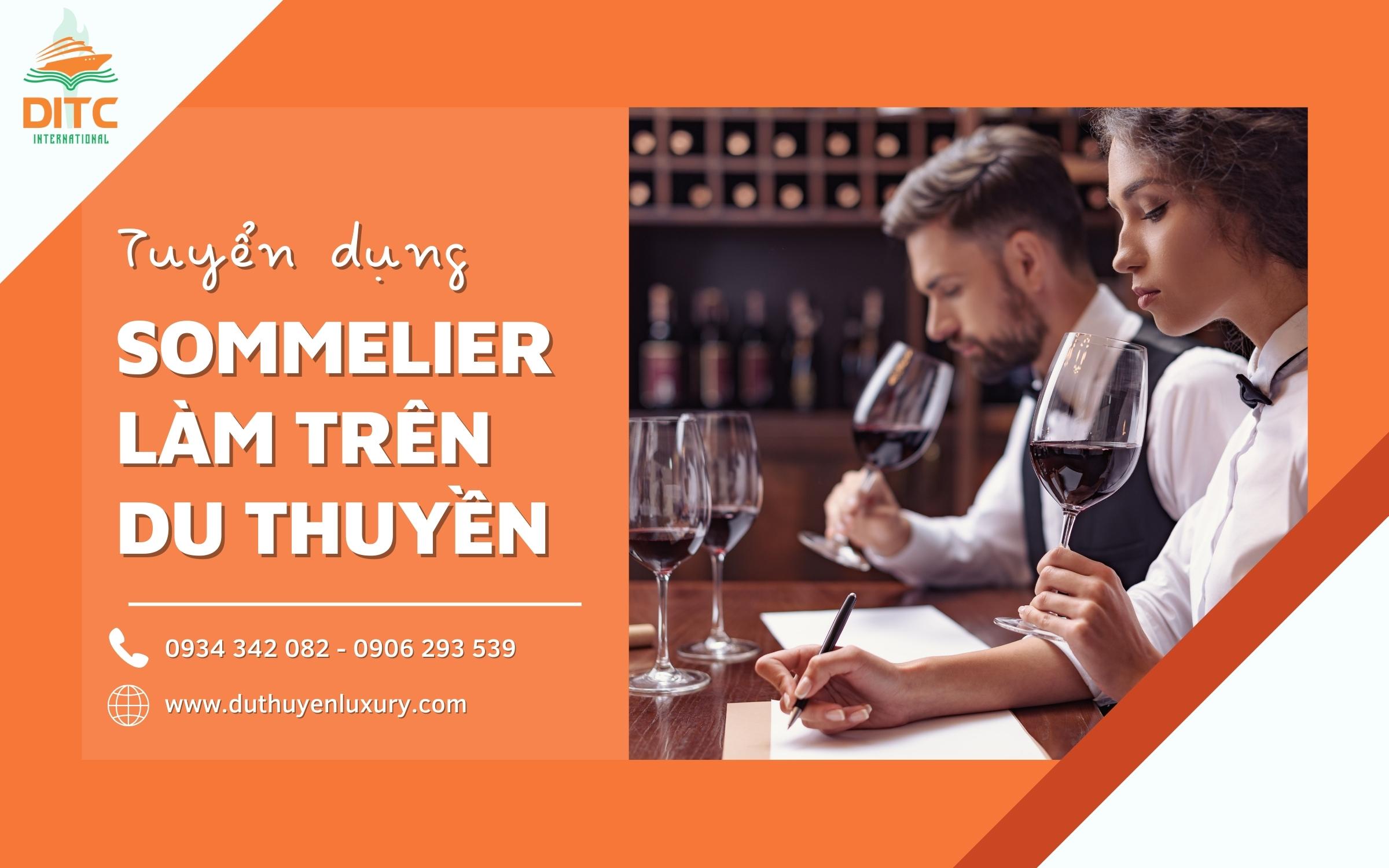 tuyển dụng sommelier làm trên du thuyền